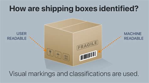 Authentic Classification Strategy Examples 的图像结果