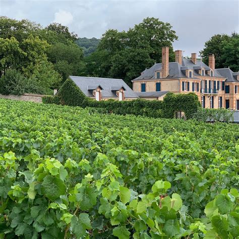 LA CHOCOLATERIE THIBAUT (2026) All You Need to Know BEFORE You Go (with ...