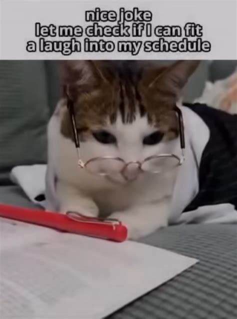 NYC Mayor Dem Primary 1st round Winner Predictions & Odds... | Polymarket