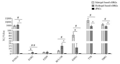 Three-Dimensional-Bioprinted Embedded-Based Cerebral Organoids: An ...