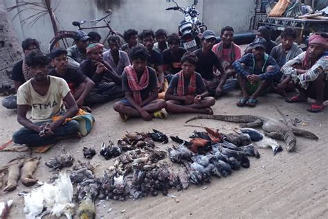 Forest Department conducts raid on poaching in Ketugram, many animal ...