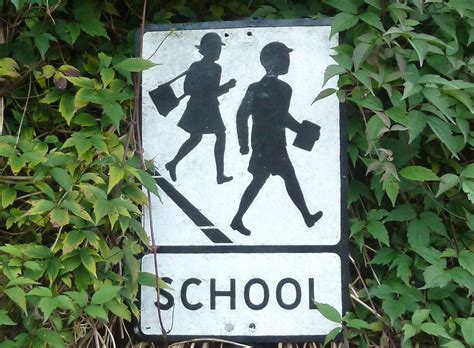 Where NJ's 529 plan ranks on fees - NJMoneyHelp.com