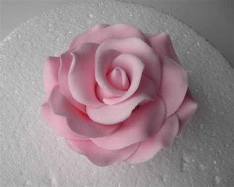 Image result for Sugar Rose Tutorial