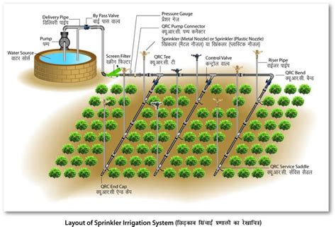 Image result for Drip Irrigation System Design