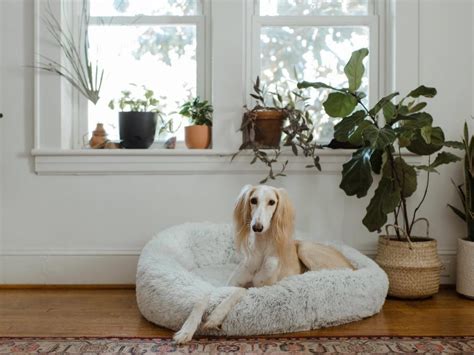 Style, Home Styling, Office Styling, Spaces Styling | Architectural ...