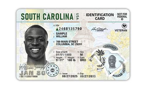 New South Carolina driver's license, ID card features state bird ...