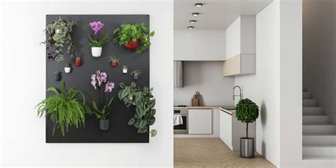 Indoor Green Wall System