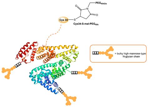 Mannose Ligands for Mannose Receptor Targeting
