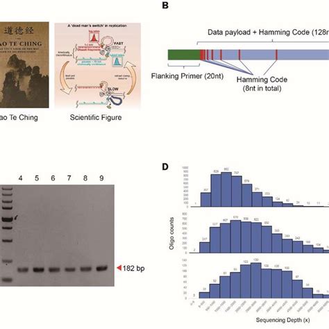 DNA Storage CodeChef Solution 的图像结果