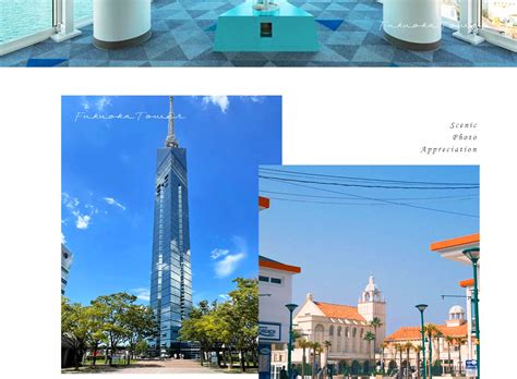 Itoshima: Shiraito Falls & Raizan Sennyoji Temple & Palm Tree Swing ...