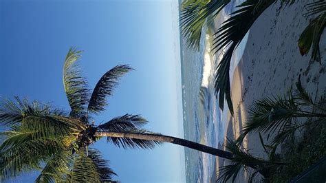 FLOR DE LIS EXCLUSIVE HOTEL (Maceio) - Hotel Reviews, Photos, Rate ...