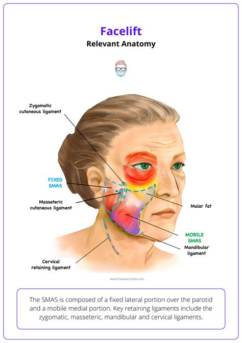 Facelift: Anatomy, Clinical Assessment, & Techniques