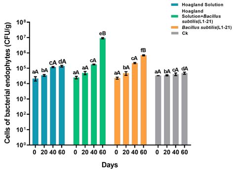 Interactions between Indigenous Endophyte Bacillus subtilis L1-21 and ...
