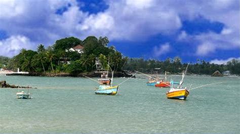 Seerendipity Tours and Travels - Day Tours (Panadura) - All You Need to ...