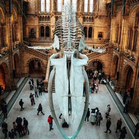 You Have To Experience A Cruise Vacation On The Norwegian Getaway. Her