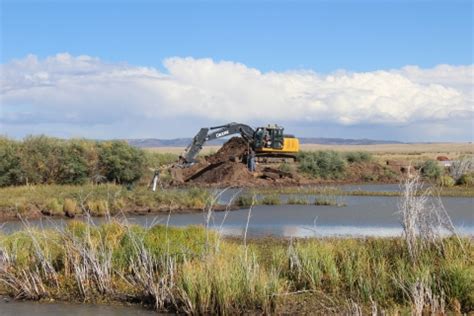 Wyoming Toad Conservation: Partnerships Restore Critical Habitat | U.S ...