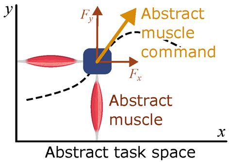 Human-Aware Control for Physically Interacting Robots