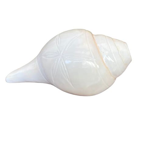 Buy NAISHA Blowing Shankh for Pooja Blowable Conch Shell I Energized ...