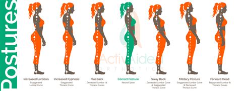 Different Types of Posture 的图像结果
