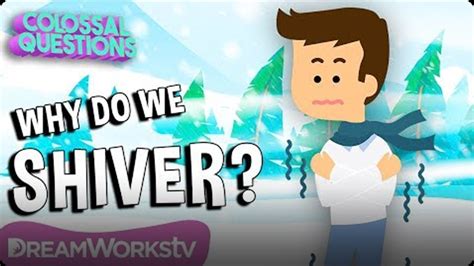 Why Do We Shiver When it’s Cold? | COLOSSAL QUESTIONS Video | Discover ...