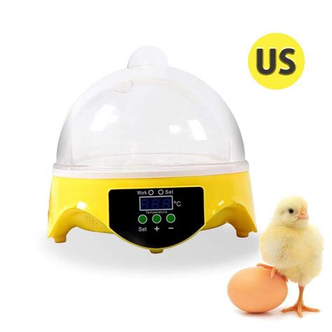 Buy Volwco Egg Incubator,7 Eggs Digital Mini Hatching Incubator with ...