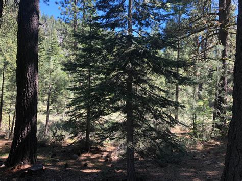 Goose Meadows Camping | The Dyrt