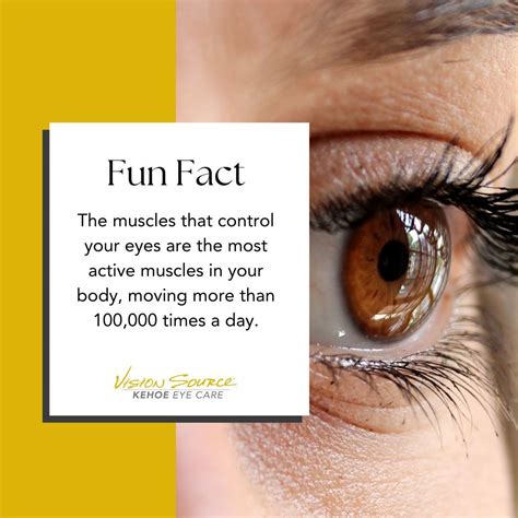 Kehoe Eye Care - Monmouth, IL on LinkedIn: Your eyes are muscles that ...