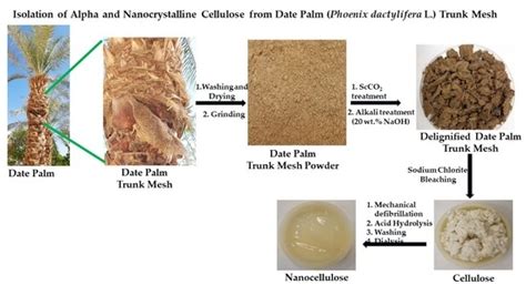 Isolation and Characterization of Alpha and Nanocrystalline Cellulose ...