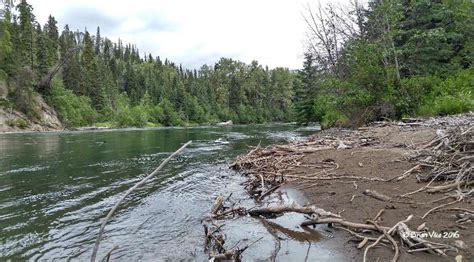 Fishing in Morice river, houston, Canada - Top Attractions, Things to ...
