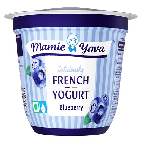Mamie Yova Blueberry French Yogurt, 90 g : Amazon.in: Grocery & Gourmet ...