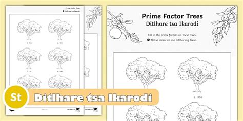 Grade 7 Maths - Term 1 - Prime Factor Trees Setswana/English