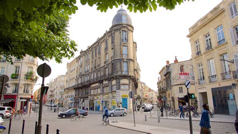 The Best Pet Friendly Hotels in Bordeaux from $33 - Free Cancellation ...