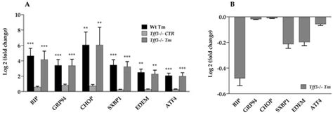 Effect of Tff3 Deficiency and ER Stress in the Liver