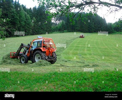 Tedder Machine 的图像结果