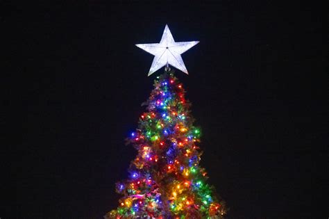 Image result for Erie County Library