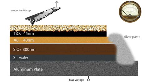Image result for Cicio AFM Module