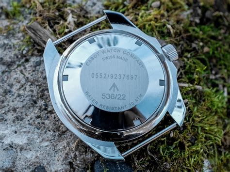 Image result for CWC Diver