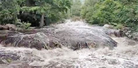 மேற்கு தொடர்ச்சி மலையில் கன மழை: காட்டாறுகளில் பெருக்கெடுத்த வெள்ளம் ...