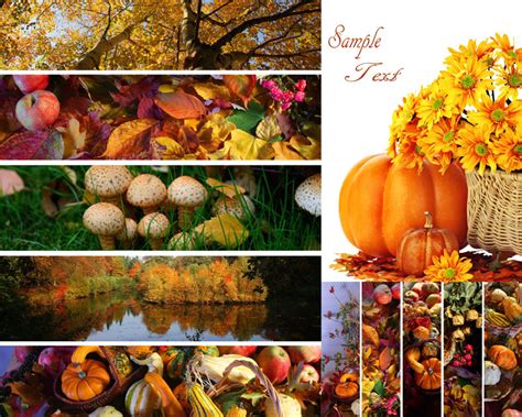 秋季丰收图片素材-正版创意图片400647440-摄图网
