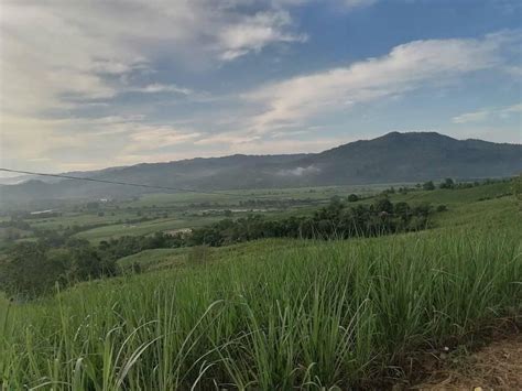 Malabago Integrated Farmers Association FUN RUN 2025, Brgy. Camansi ...