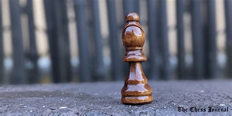 Chess Bishop Piece