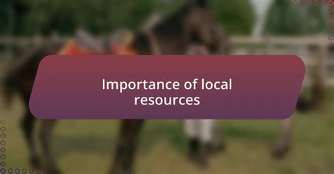 Local Resources 的图像结果