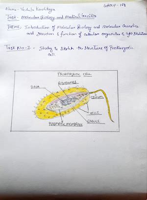 Subhash Dey's Business Studies-XII Textbooks 2022-23 Edition Sample ...
