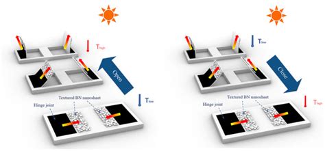 Solar-Radiation-Dependent Anisotropic Thermal Management Device with ...