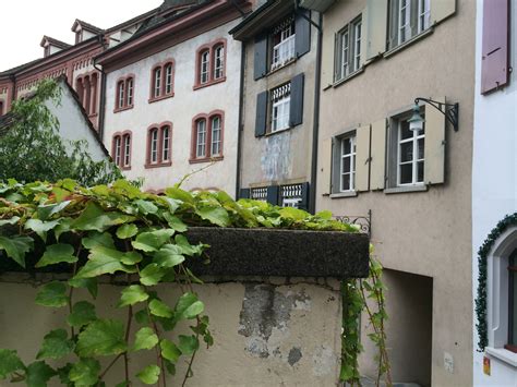 Harry Gelb in Basel | Kunst und Reisen
