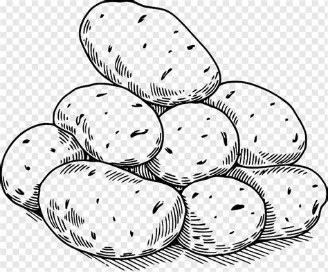 Image result for Potato Man Project Python Coding