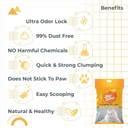 Caredom Hey Kitty - Indian Bentonite Best Cat Litter | Lavender Fresh ...