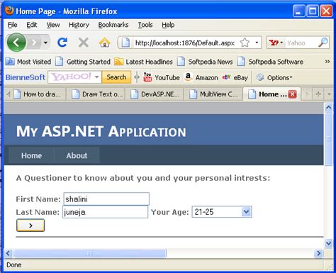 Asp.net Using View Bags 的图像结果