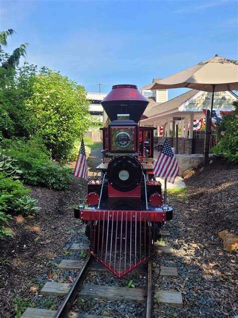 Zoo Train | Turtle Back Zoo