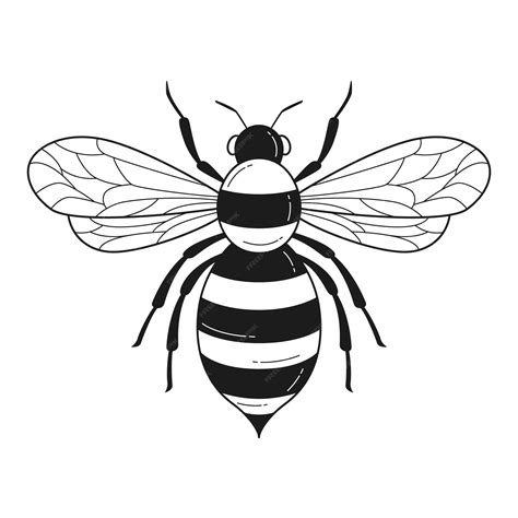 Honey Bee Clipart Black And White